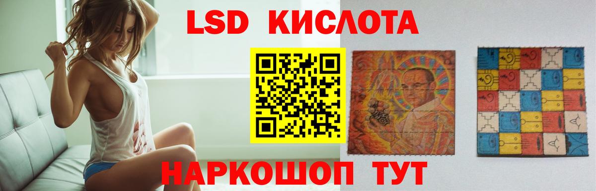 МЕФ Можга